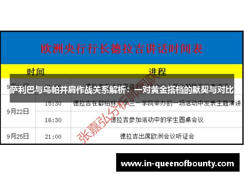 萨利巴与乌帕并肩作战关系解析：一对黄金搭档的默契与对比
