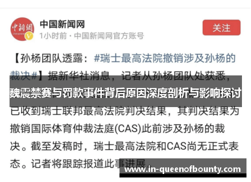 魏震禁赛与罚款事件背后原因深度剖析与影响探讨